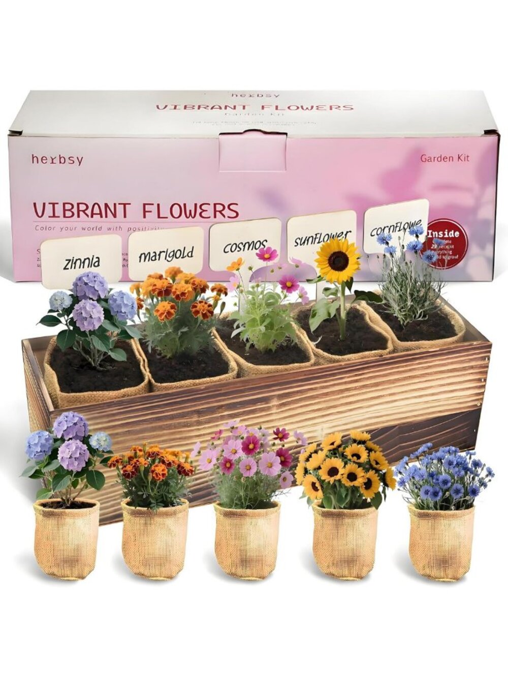 Indoor Flower Growing Kit - Complete Planting Set with Sunflower, Zinnia & More
